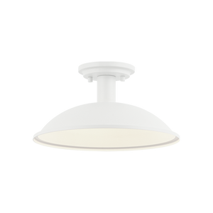 Farmley 1-Light 12" Ceiling Mount