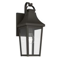 Cleary 16" 1-Light Outdoor Wall Light