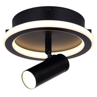 Denver Flush Mount