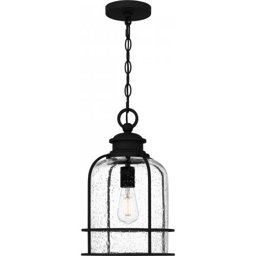 Bowles 1-Light Outdoor Pendant