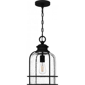 Bowles 1-Light Outdoor Pendant