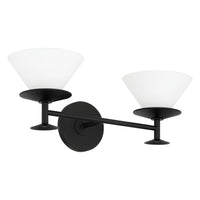 Tremolo 20" 2-Light Vanity Light