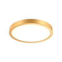 10" Round Indoor/Outdoor LED Flush Mount