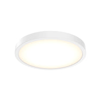 10" Round Indoor/Outdoor LED Flush Mount