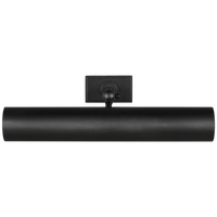 Kenyon 18" Picture Light