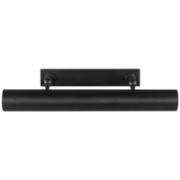 Kenyon 24" Picture Light