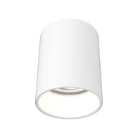 5" Cylinder Flush Mount