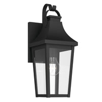 Cleary 16" 1-Light Outdoor Wall Light