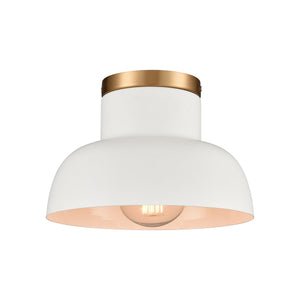 Lewellen 10" Wide 1-Light Semi Flush Mount