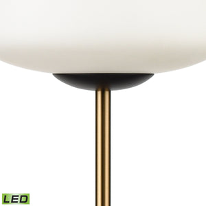 Ali Grove 62" High 1-Light Floor Lamp