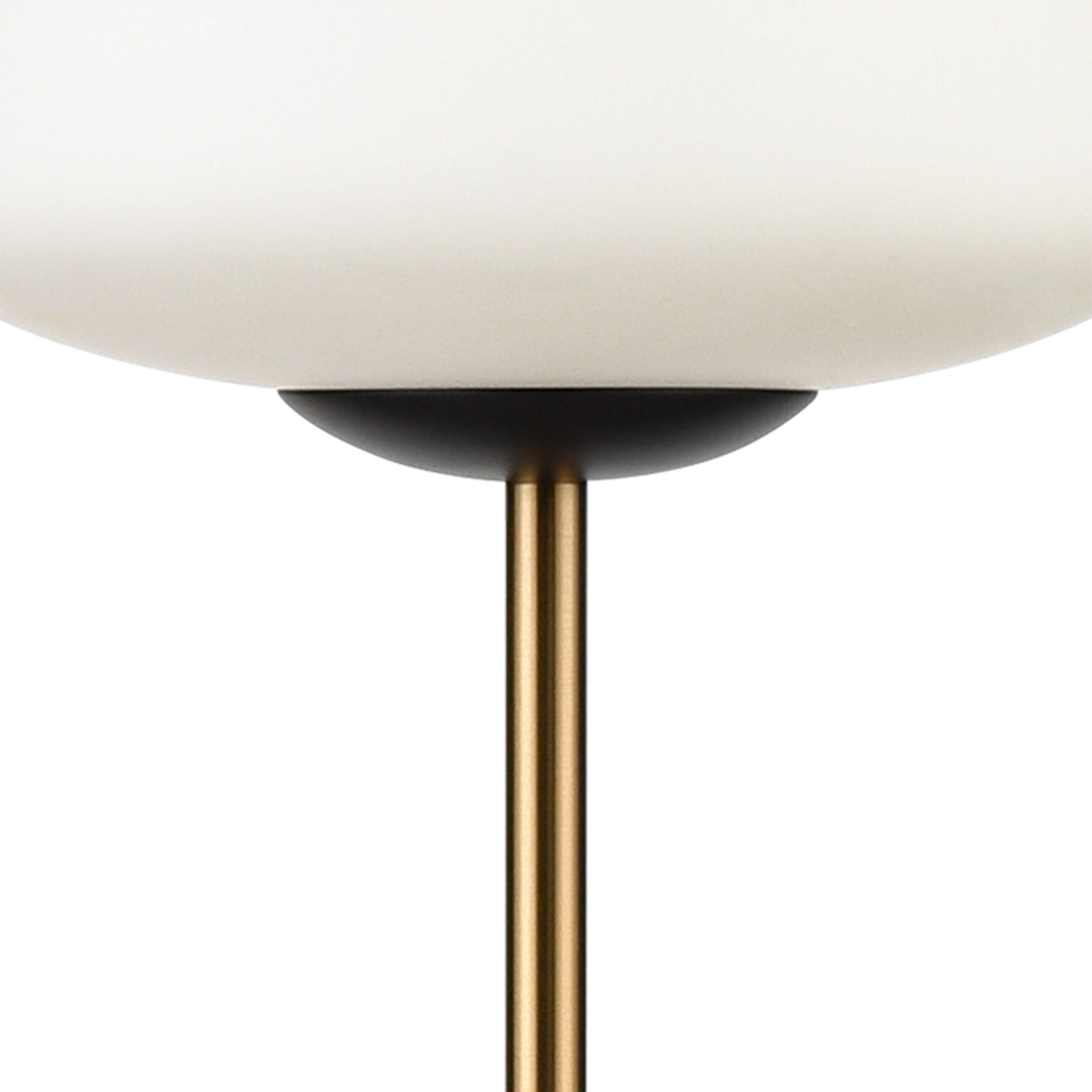 Ali Grove 62" High 1-Light Floor Lamp