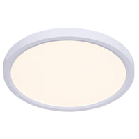 LED Disc Light