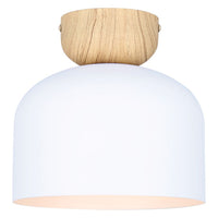 Caleb 1-Light Flush Mount