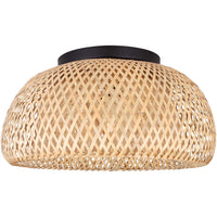 Sariel 1-Light Flush Mount