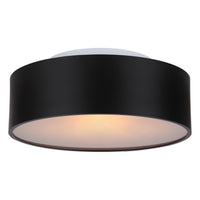 Dexter 2-Light Flush Mount