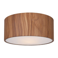 Dexter 2-Light Flush Mount