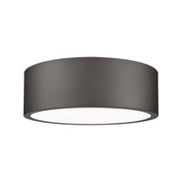 Coronado 1-Light Flush Mount