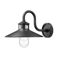 RLM 1-Light Outdoor Wall Light