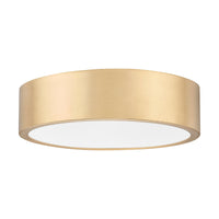 Coronado 1-Light Flush Mount