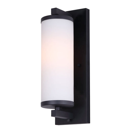 Seager 1-Light Outdoor Wall Light