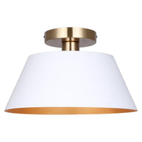 Daxton 1-Light Semi Flush