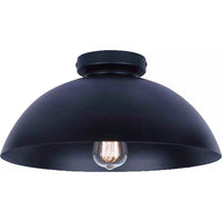 Eddie 1-Light Semi Flush