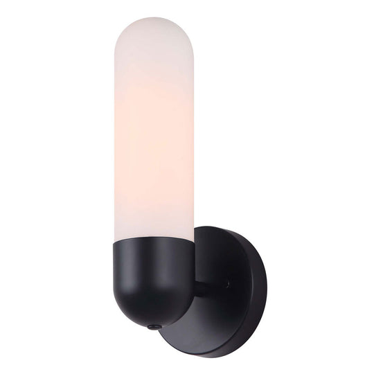 Bevin 1-Light Wall Fixture