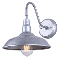 Desi 1-Light Outdoor Lantern