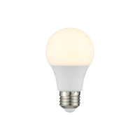 9W E26 A19 3000K Bulb