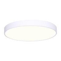 Luna LED 12" Disc Light