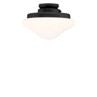 1-Light LED Fan Light Kit
