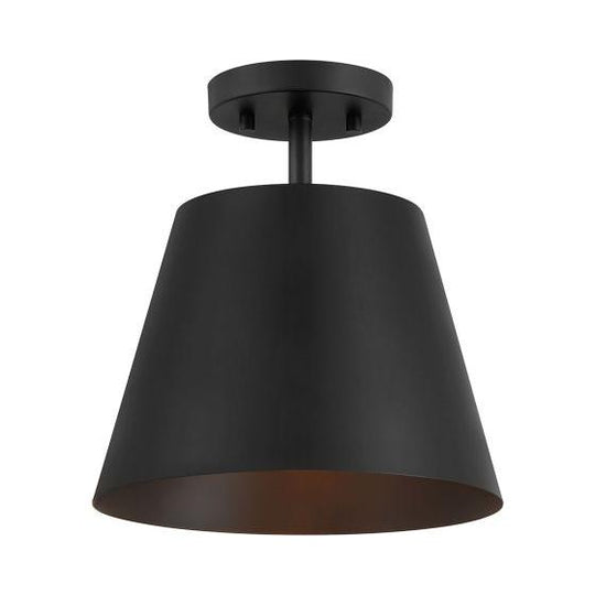 1-Light Ceiling Light