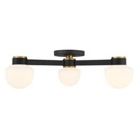 3-Light Ceiling Light