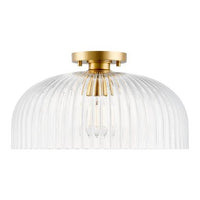 1-Light Ceiling Light