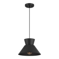 1-Light Pendant