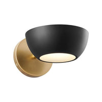 1-Light Wall Sconce