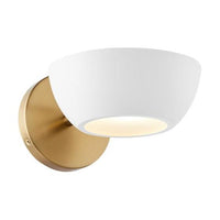 1-Light Wall Sconce