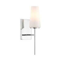 1-Light Wall Sconce