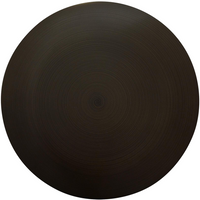 Era Blanking Plate