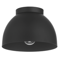 Erling 1-Light Medium 10" Flush