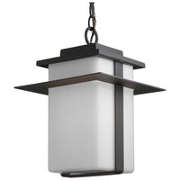 Cornwall 1-Light Outdoor Pendant