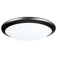 Essex 2-Light Flush Mount