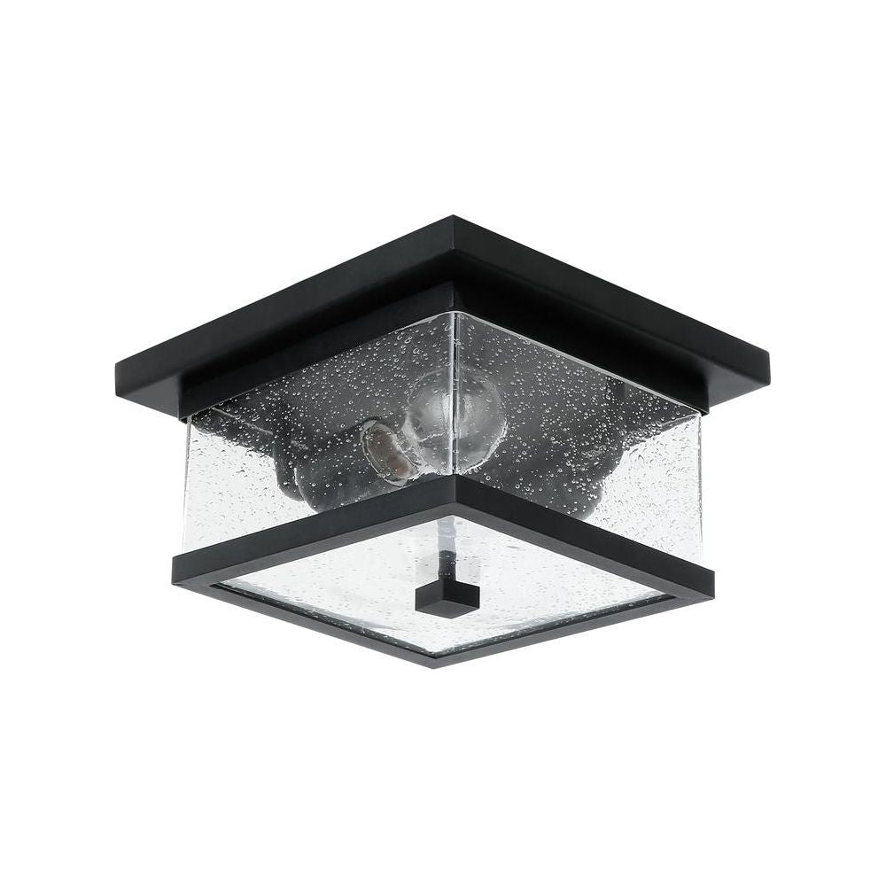 Homestead 2-Light Outdoor Ceiling Light