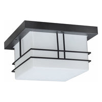 Cornwall 2-Light Outdoor Ceiling Light