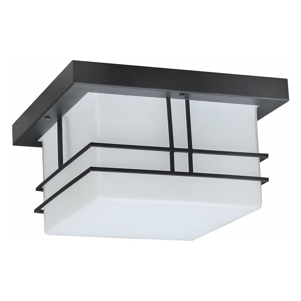 Cornwall 2-Light Outdoor Ceiling Light