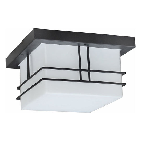 Cornwall 2-Light Outdoor Ceiling Light