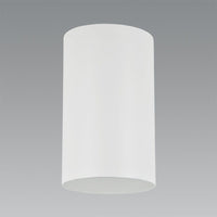 Toro 1-Light Flush Mount