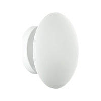 Pom 1-Light Wall or Ceiling Light