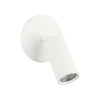 Monty 1-Light Wall or Ceiling Light