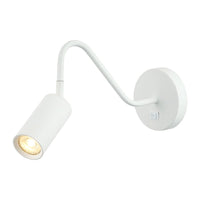 Monty 1-Light Wall or Ceiling Light